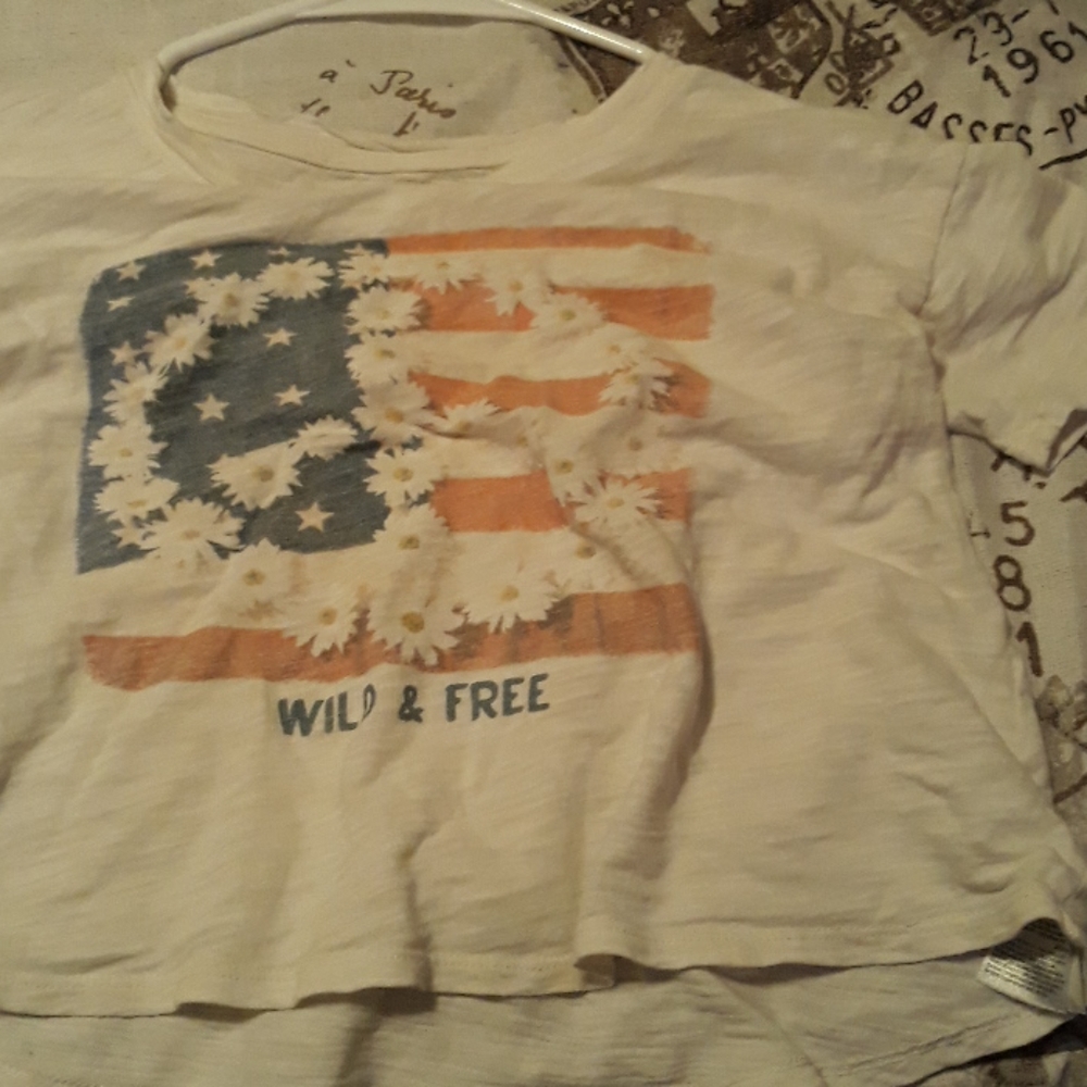 Wild and Free American flag